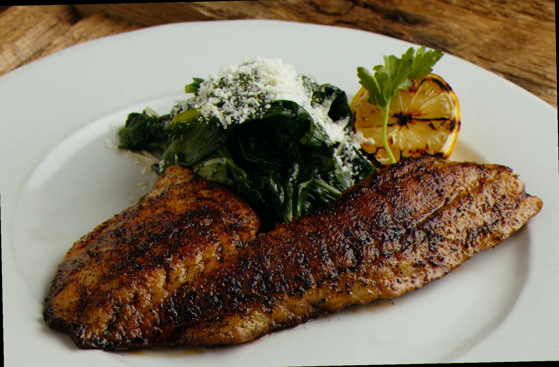Redfish recipes